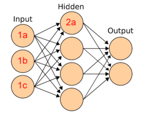Neural Network Structure
