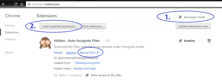 The Chrome extensions page in Developer Mode showing the loaded Hidden extension with reload and background-page links.