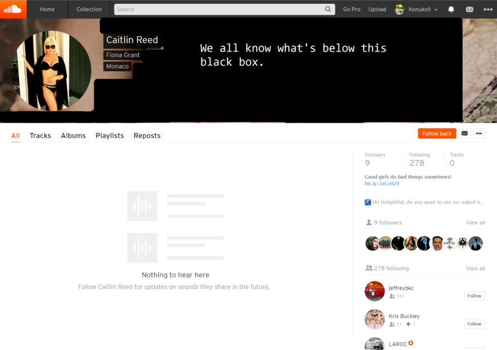 Example of a pornographic spam profile on SoundCloud, with a profane description and a bit.ly link.